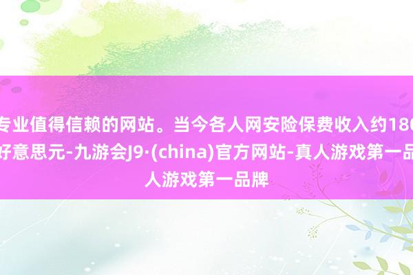 专业值得信赖的网站。当今各人网安险保费收入约180亿好意思元-九游会J9·(china)官方网站-真人游戏第一品牌