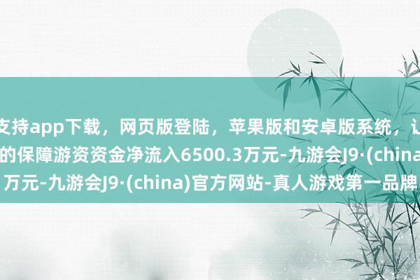 支持app下载，网页版登陆，苹果版和安卓版系统，让您的资金得到最完善的保障游资资金净流入6500.3万元-九游会J9·(china)官方网站-真人游戏第一品牌