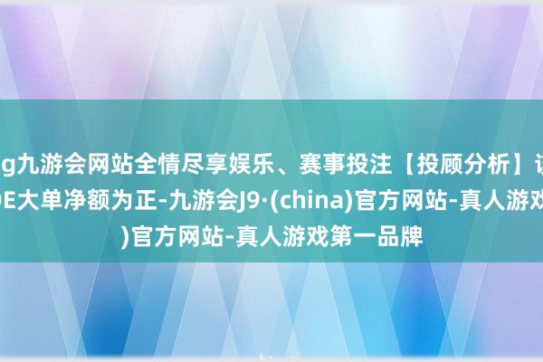 ag九游会网站全情尽享娱乐、赛事投注【投顾分析】该股当天DDE大单净额为正-九游会J9·(china)官方网站-真人游戏第一品牌