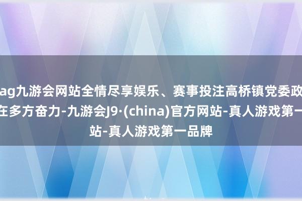 ag九游会网站全情尽享娱乐、赛事投注高桥镇党委政府也在多方奋力-九游会J9·(china)官方网站-真人游戏第一品牌