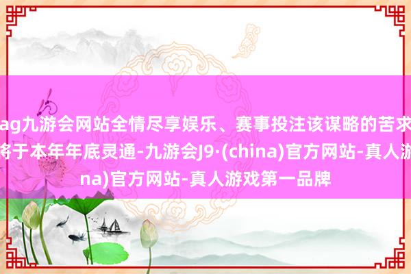 ag九游会网站全情尽享娱乐、赛事投注该谋略的苦求通说念展望将于本年年底灵通-九游会J9·(china)官方网站-真人游戏第一品牌